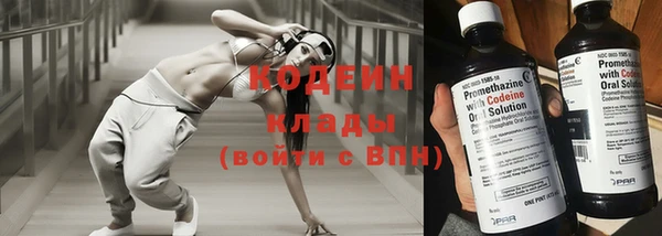молекула духа Балахна