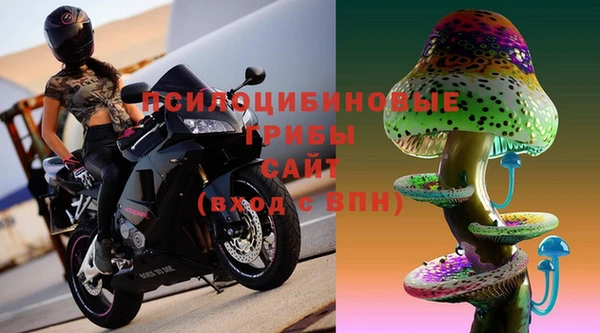 молекула духа Балахна