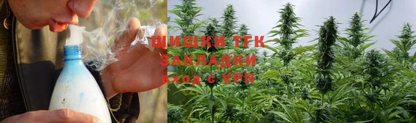 молекула духа Балахна